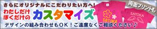 �J�X�^�}�C�Y�ł��܂�