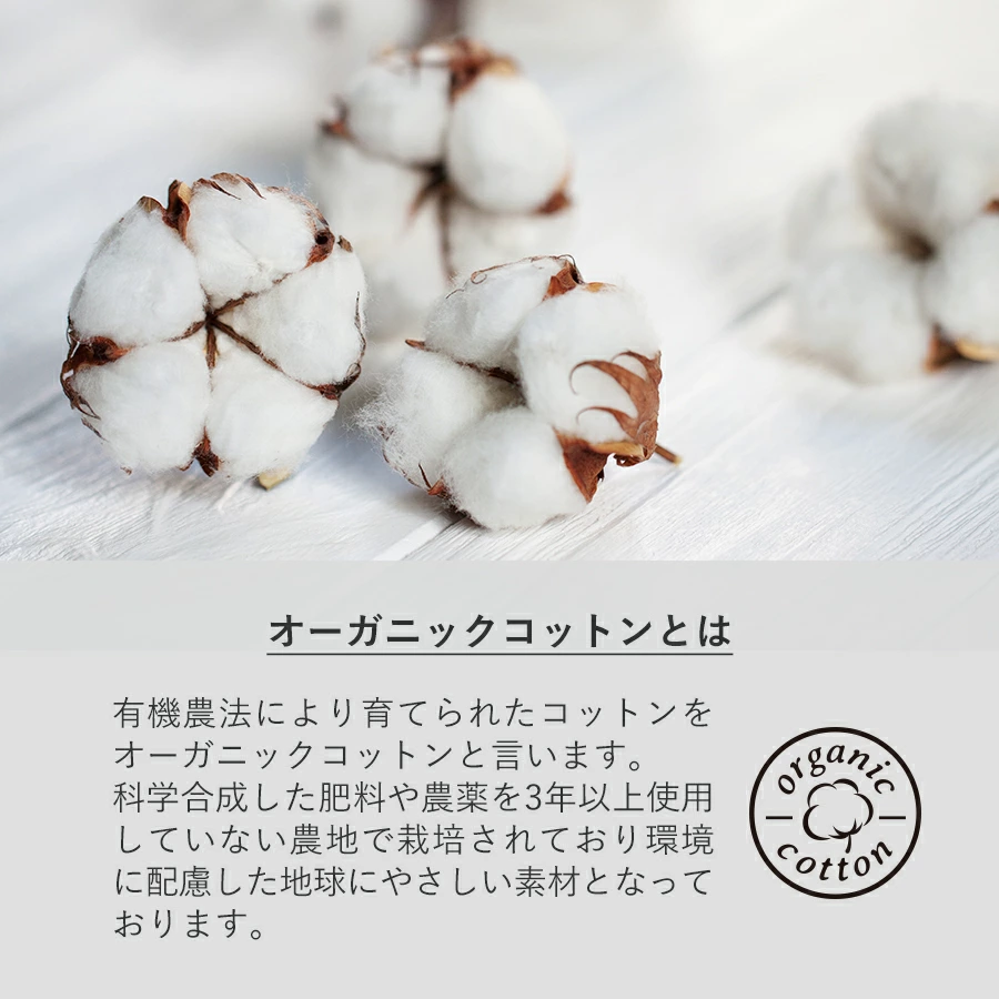 �I�[�K�j�b�N�R�b�g���f�ނ̋В��܂ł��B